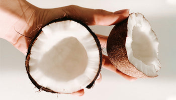 3 Beautiful Benefits of Coconut Oil for Your Gut – Hyperbiotics