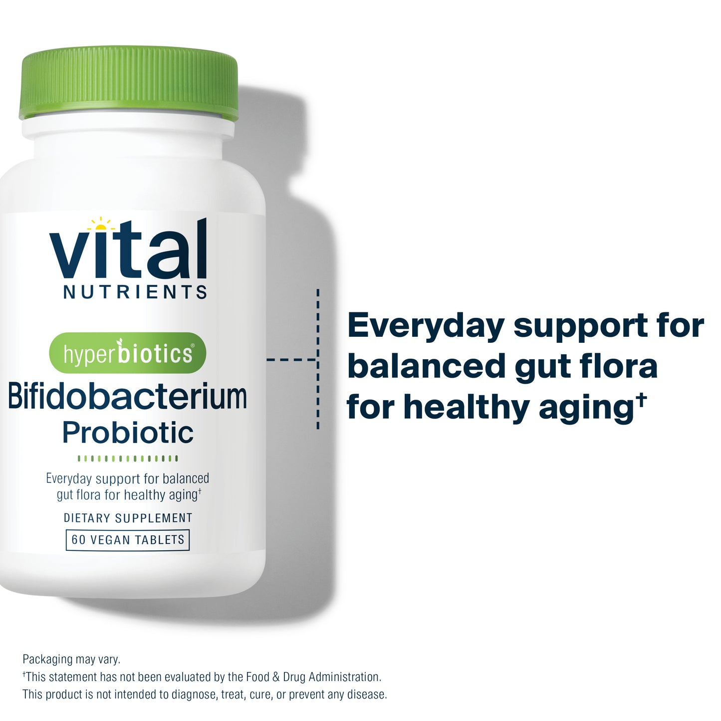 Bifidobacterium Probiotic everyday support for balanced gut flora for healthy aging.*